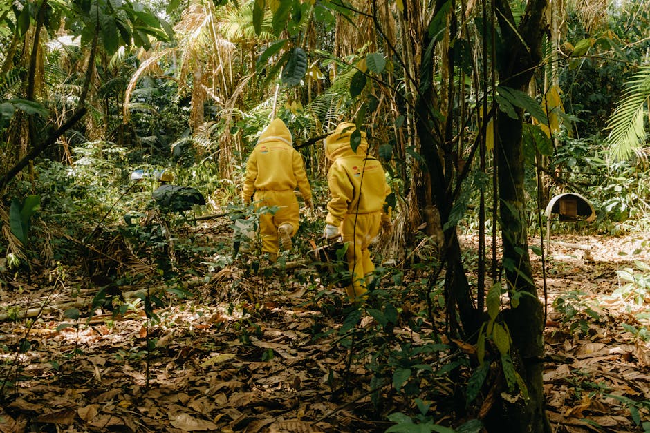 2026년 산림보호지원단 신청방법 총정리 (자격/금액/기간)
